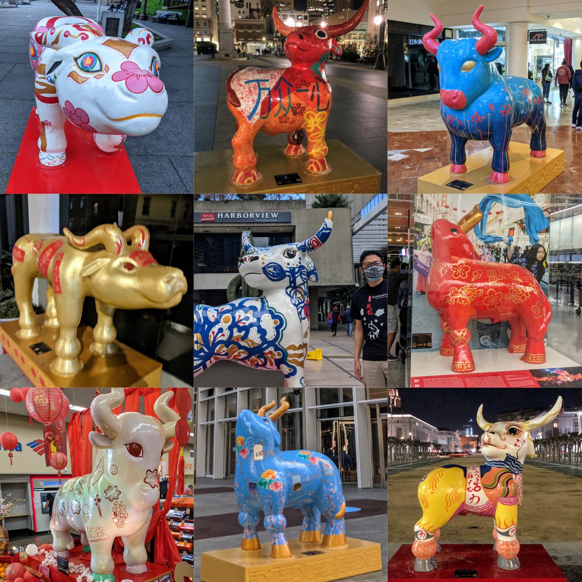 DaalCurry's tweet photo. Happy Year of the Ox! 🧧🐂
#oxonparade @chineseparade @HarborviewSF https://t.co/Z7u5GhCKPB