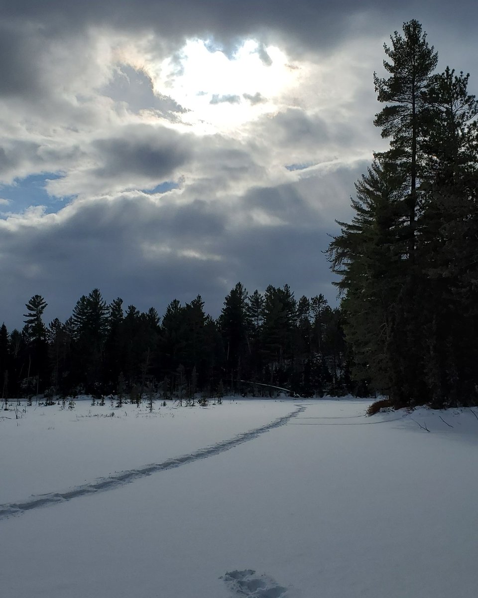 UpNorthMatt1's tweet photo. Took Nova to explore on crown land today.  This is the view from the #hammock.
.
.
.
#upnorthmatt #winterwonderland #winterfun #picoftheday #snowshoeing #sunbeams https://t.co/32HgWywkWo