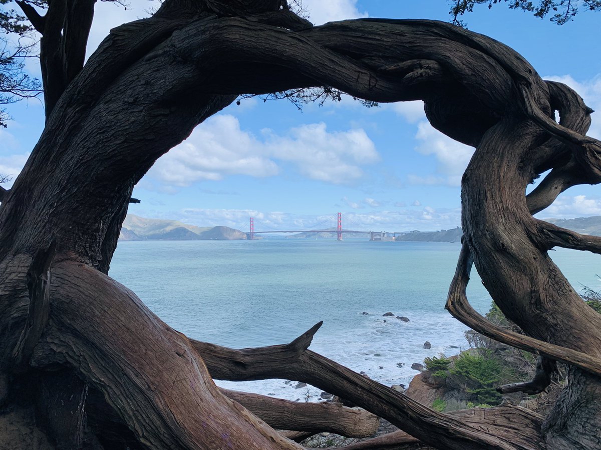 Heather Knight tweet media