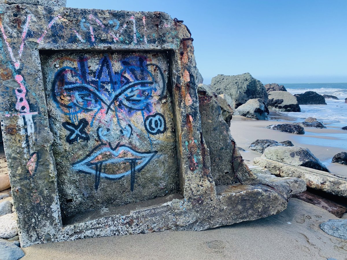 Heather Knight tweet media