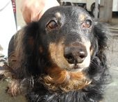 愛媛県松山市保健所のtwitterイラスト検索結果