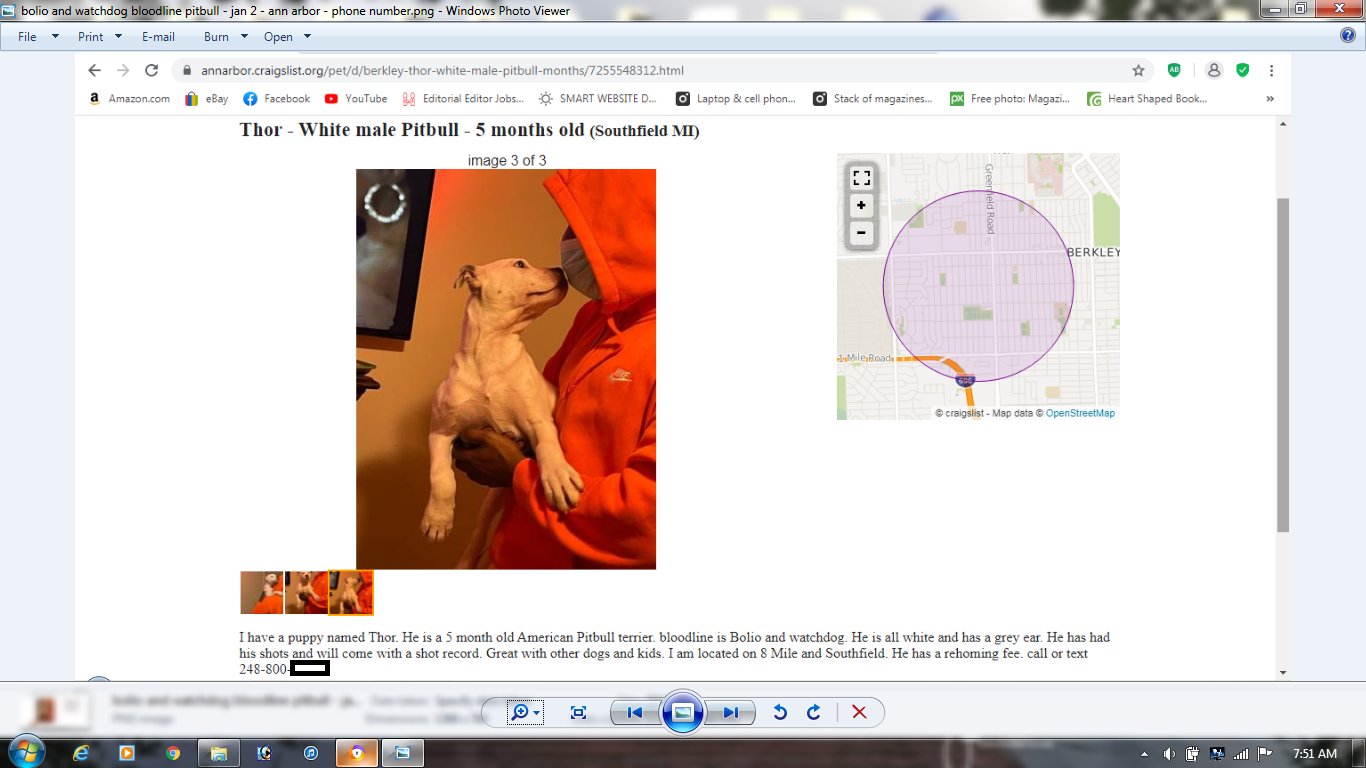 Pets in Danger on Twitter "One way to tell dogfighters are hanging out