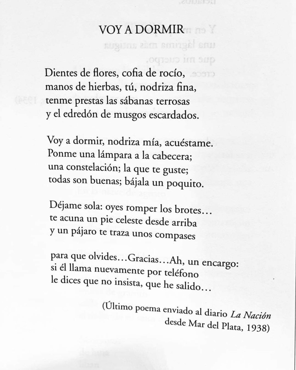 UnLectorClqr's tweet photo. #AlfonsinaStorni ❤️ https://t.co/up05IJFn2T