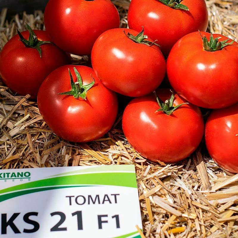 Купить семена томата f1