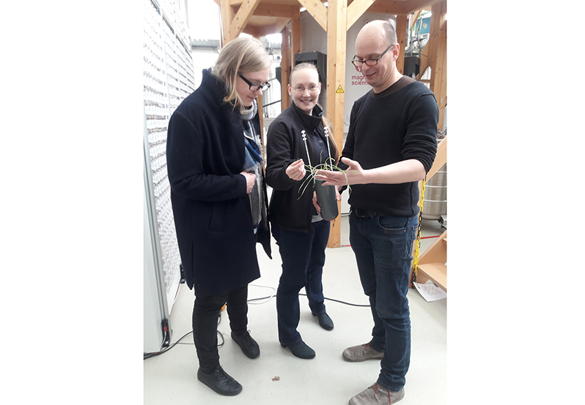 JUMPA (@jumpa_phd) on Twitter photo Congratulations to <a href="/JUMPA_PhD/">JUMPA</a> candidate Lisa Mau for a new publication with Josefine Kant and <a href="/UteRoessner/">Ute Roessner</a>!
📷: Lisa with Josefine and Robert Koller <a href="/Ibg2Root/">Root Dynamics Group - IBG2</a> <a href="/IBG2Plant/">FZ Jülich-IBG2</a>🍃 Congratulations to <a href="/JUMPA_PhD/">JUMPA</a> candidate Lisa Mau for a new publication with Josefine Kant and <a href="/UteRoessner/">Ute Roessner</a>!
📷: Lisa with Josefine and Robert Koller <a href="/Ibg2Root/">Root Dynamics Group - IBG2</a> <a href="/IBG2Plant/">FZ Jülich-IBG2</a>🍃