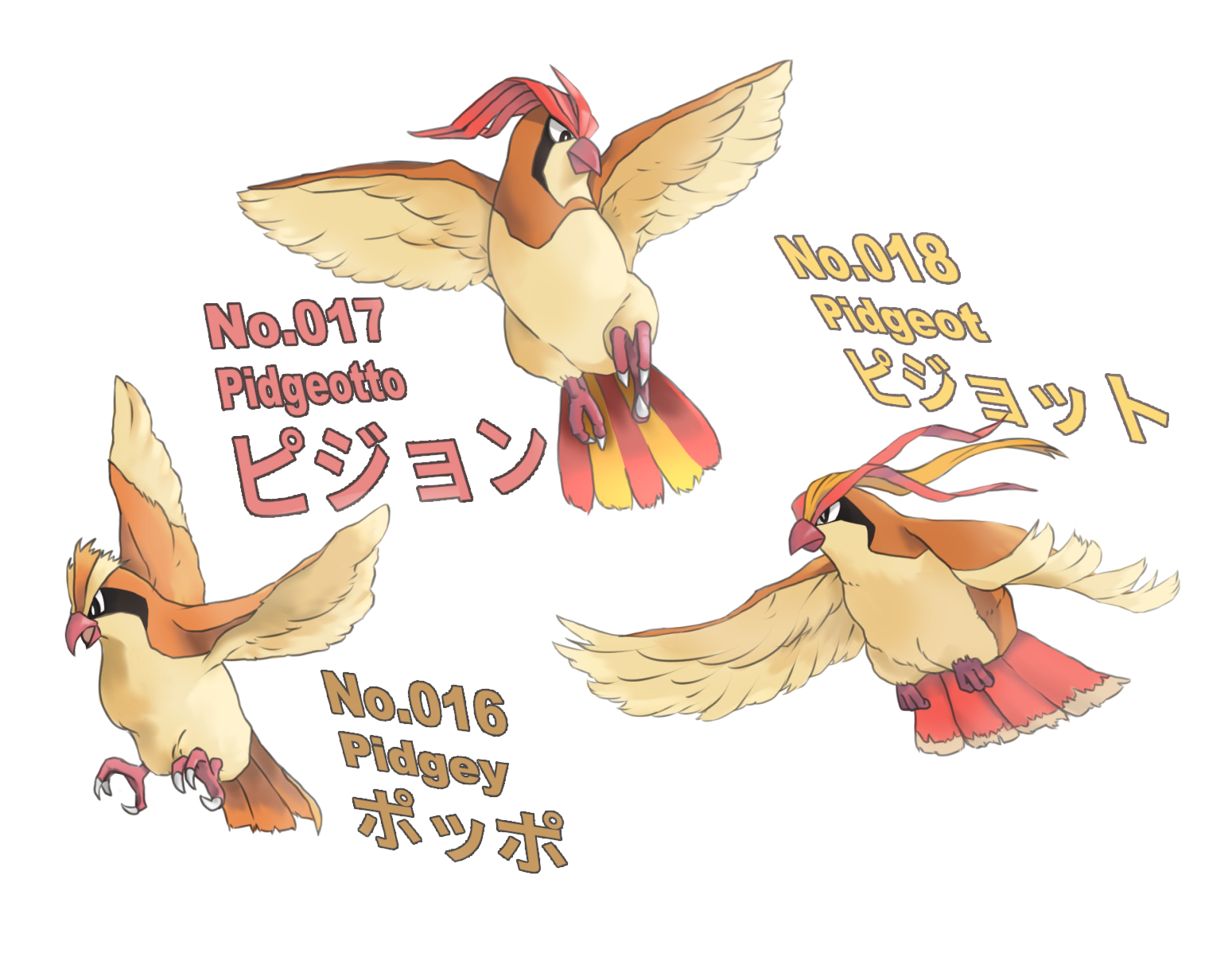 Twitter 上的 よしおの部屋 毎日ポケモン No 016ポッポ No 017ピジョン No 018ピジョット まとめて描いた理由は 似たような鳥系ポケモン３日連続で描くのはシンドイからです ポーズは鳥のフリー画像から ポケットモンスター Pokemon 毎日ポケモン