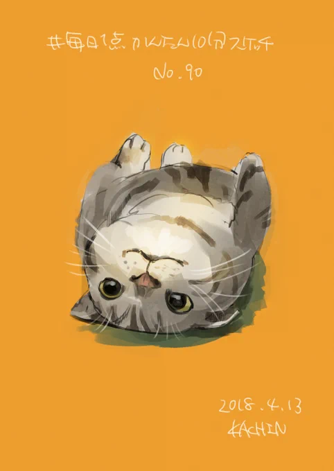 ?
#猫の日 