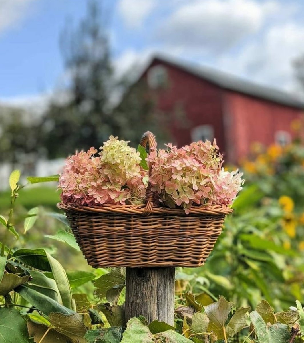 ❁ ،

عوضُ الله آتٍٍ ، وسيكُونَ نِعمْ العٌوضُ ♡
 ـ #ثق_بالله ، #صباح_الخير🌼☘️