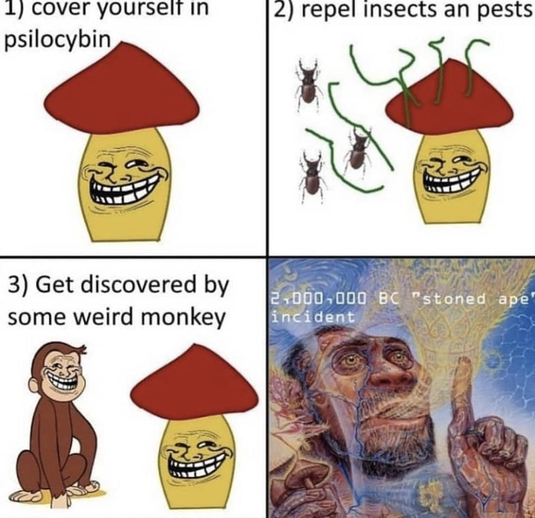 Euu7QSLXAAMDFZp?format=jpg&name=medium