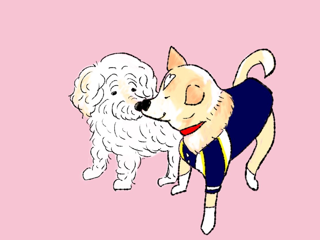 くまちゃん はじめましての挨拶 犬イラスト くまちゃん はじめましての挨拶 犬イラスト