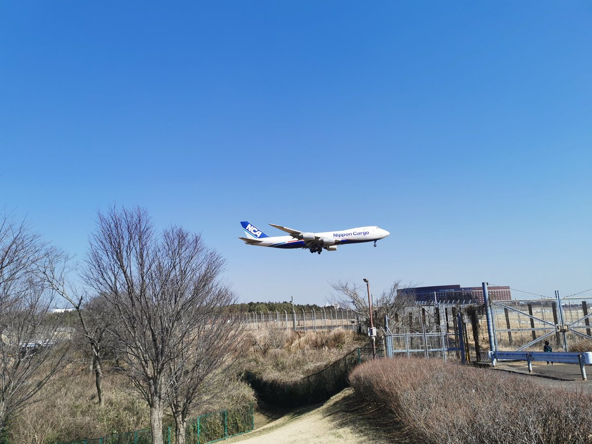 成田市さくらの山公園