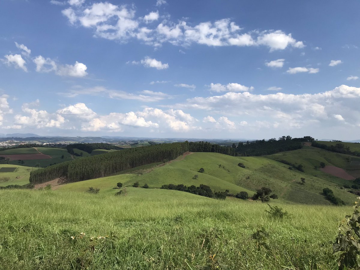 GugaSalmaso's tweet photo. Feb 20th 2021
Itatiba - São Paulo - Brazil
@StormHour @ThePhotoHour @ThePhotoHour #stormhour #itatiba  #bornfly https://t.co/ut6mmctRB0