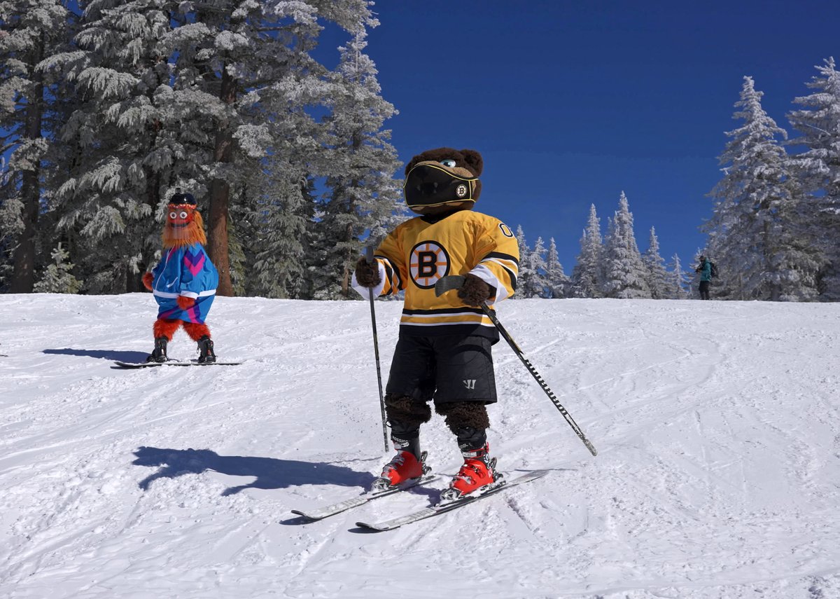 NHLBruins's tweet photo. Blades and @GrittyNHL...best friends?

#NHLBruins | #NHLOutdoors https://t.co/e6mpBDOHs2