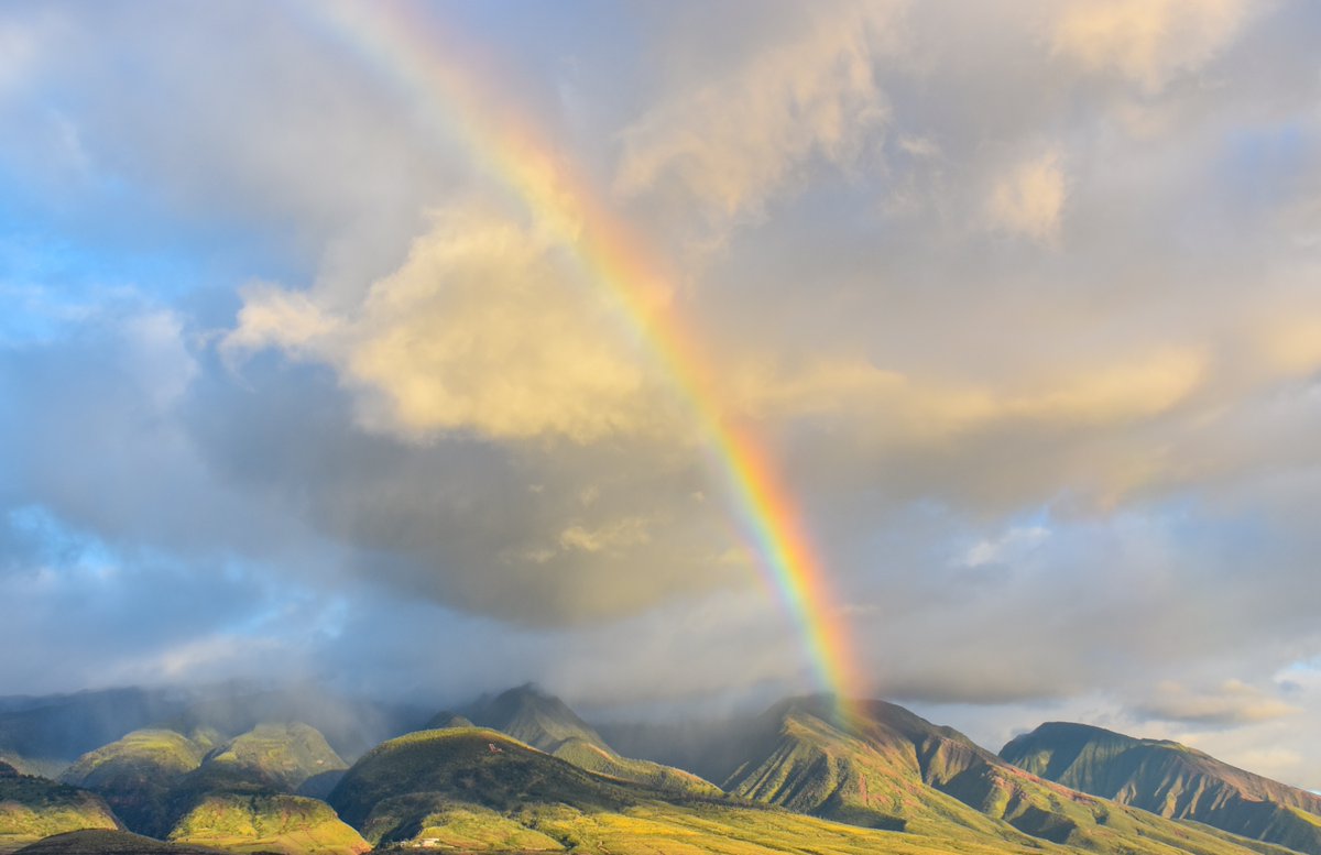 Diocese of South Dakota tweet media