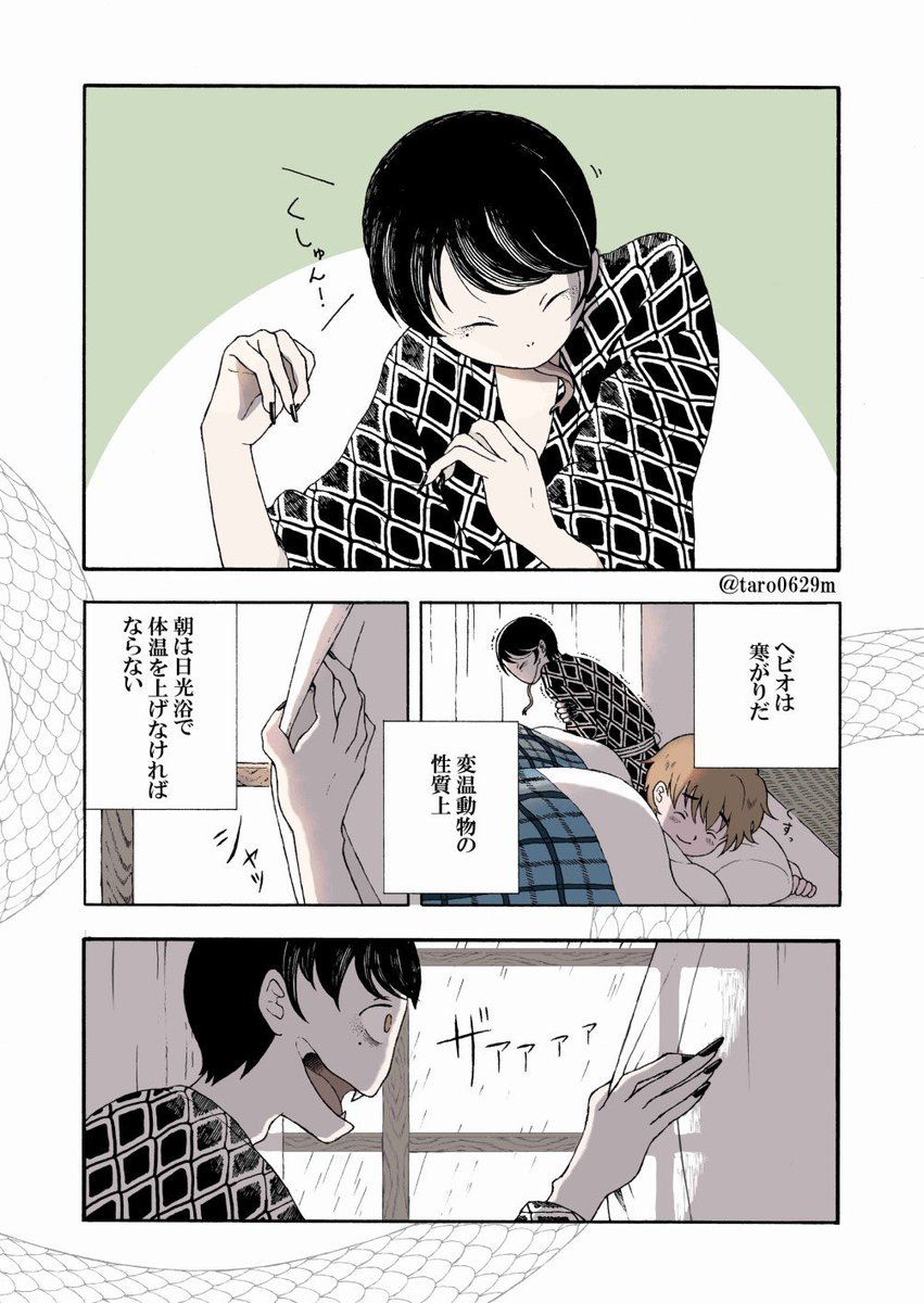 【創作漫画】蛇人間のヘビオと一緒に暮らしてみた1/8話 #ヘビオ 

#マンガが読めるハッシュタグ
#エアコミティア135
#エアコミティア 