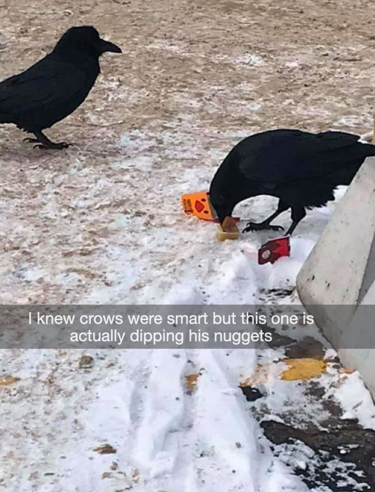 Image of this social media content