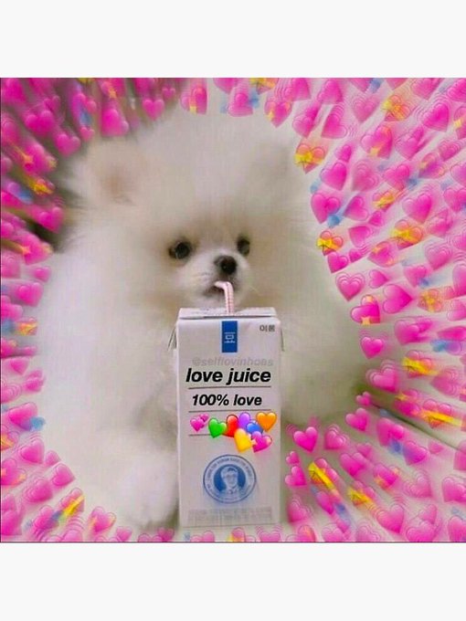 Section 高画質 のtwitterイラスト検索結果