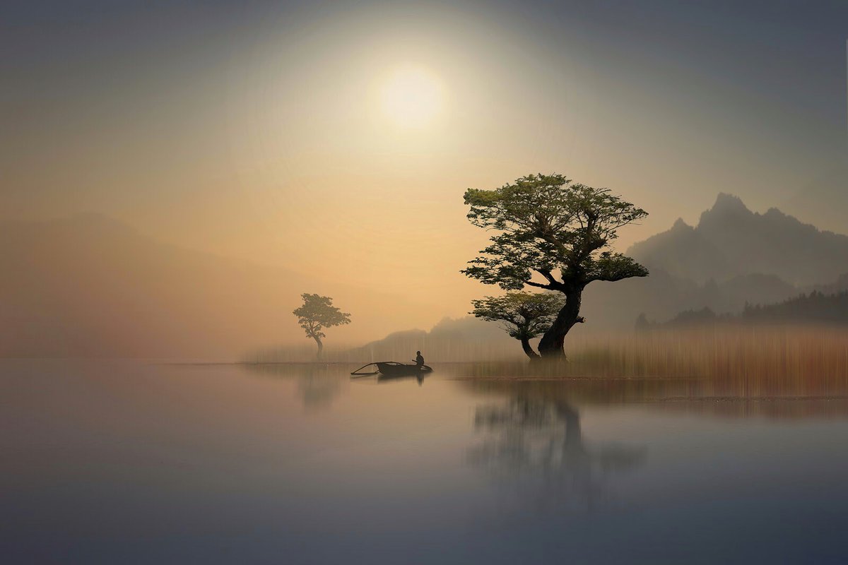 Soy_Luchick's tweet image. In the End, we will remember not the words of our enemies but the silence of our friends. ~ Martin Luther King, Jr.

📷Id’s