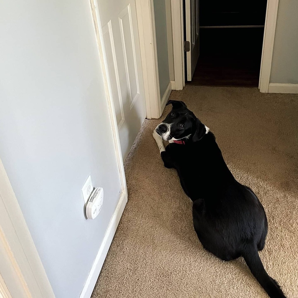 Mike Wilson! tweet media