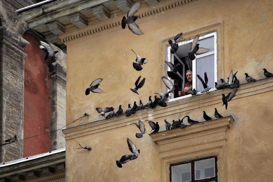 أطلَّ صباحُنا عذبًا فقوموا
لِنرتشف التفَاؤل مِن ضيائِهْ

وكَم تَحلو صباحُ الخَيرِ لحناً
على فمِ مَن نتوقُ إلَى لقائِهْ