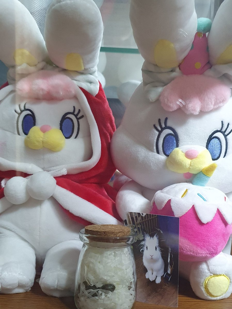 DDong_GeuL's tweet photo. 똥글이 친구 생겼다! https://t.co/TkBw11Xu2I