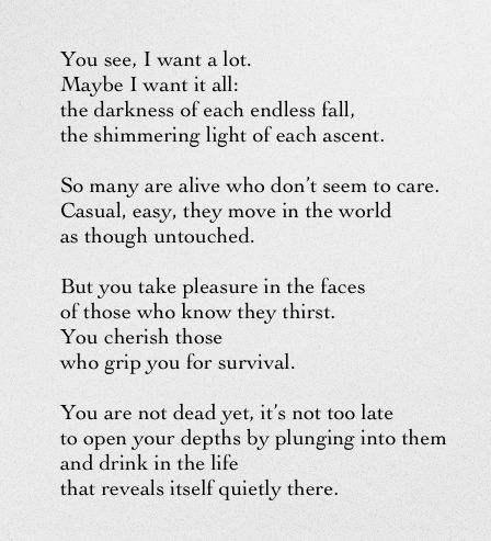 Casey Lucas 📍 Elsewhere tweet media