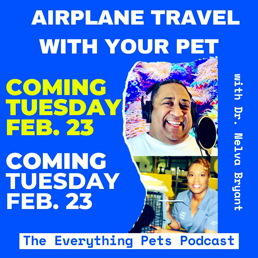 Everything Pets Podcast tweet media