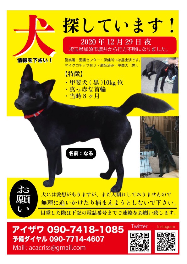 埼玉県加須市で迷子犬 なる 探しています Aca V Twitter 迷子犬 黒い犬 甲斐犬 埼玉 関東 情報 ありませんか 何でも良いんです 少しでも希望をいただけないでしょうか 埼玉県加須市で迷子犬 なる 探しています Aca V Twitter 迷子犬 黒い犬 甲斐犬 埼玉 関東 情報 ありませんか 何でも良いんです 少しでも希望をいただけないでしょうか