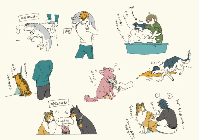 大舞台を前に丸洗いされる犬たちを考えてしんどさを紛らわせていました

※擬獣化 