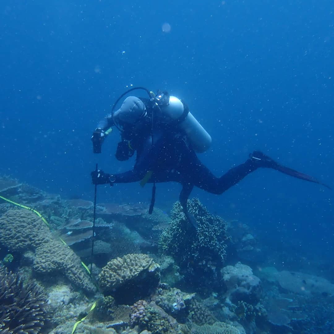 DanielaCeccare8's tweet photo. It's been an honour to witness and contribute to one of the world's most epic coral reef data sets this season - the @aims_gov_au Long Term Monitoring Program - as part of the Fish Ecologist team. #coralreefmonitoring #greatbarrierreef
#aims #rvsolander https://t.co/ge3DATjgME