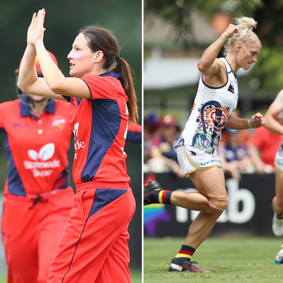 Shane Bernhardt 🏏🏈 tweet media