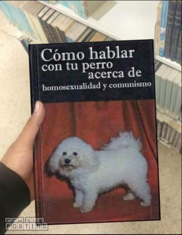 glacedown_'s tweet photo. @Puvlo69 respondeme y te digo, puta https://t.co/D5roHFa3BF