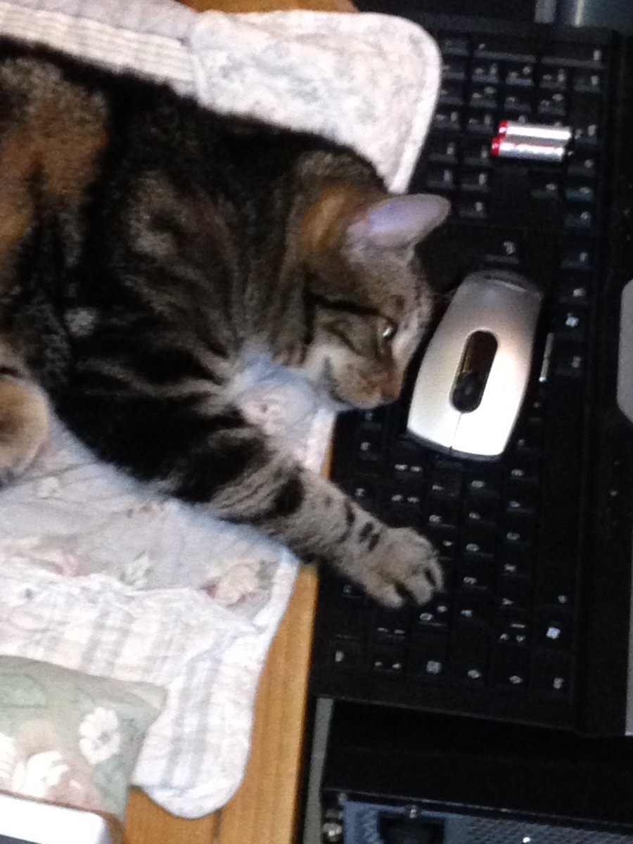 pseudonymphe26's tweet photo. @TESOnline Hard night playing ESO🤣😍 https://t.co/8fwDF2EUqn