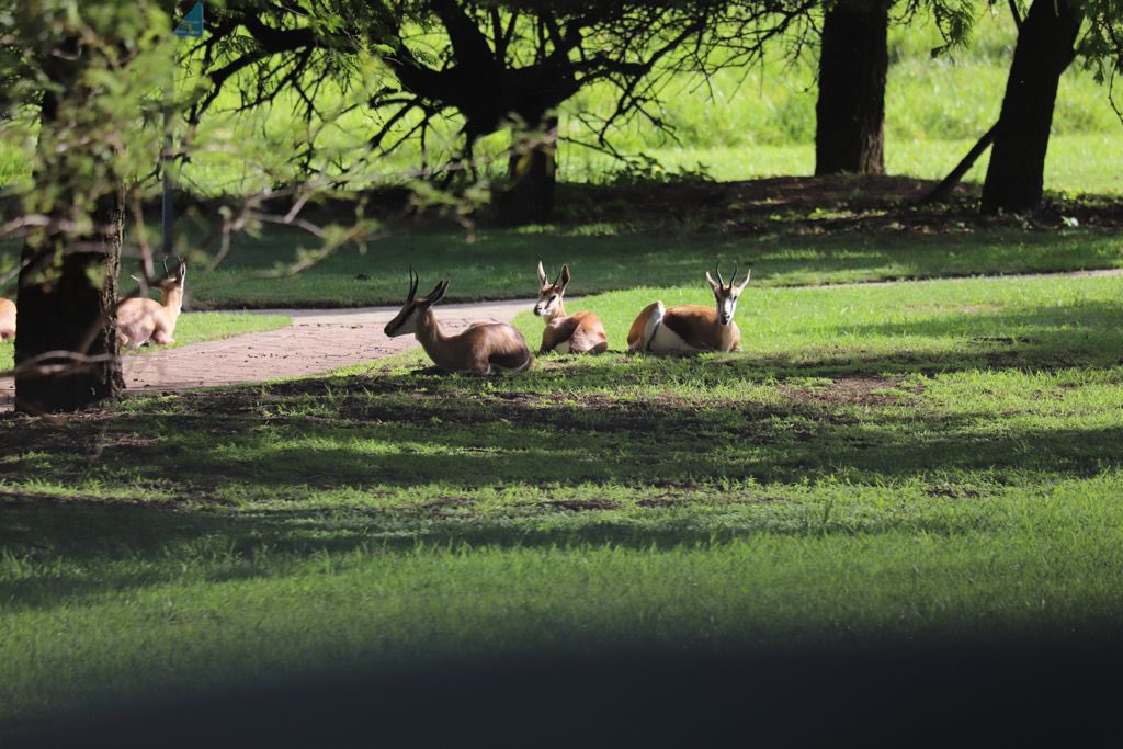 mteton's tweet image. Last week we moved into our new premises - we are excited about the future that we are creating. #Altron #ThereWhenItMatters