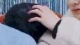 heehoonfeed's tweet photo. “Why are you crying it’s just a pictures?”

The pictures: https://t.co/ltu85HZJgS