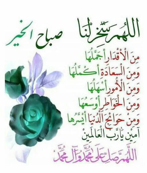 salmanasri39's tweet photo. https://t.co/EFJYCN3lbE