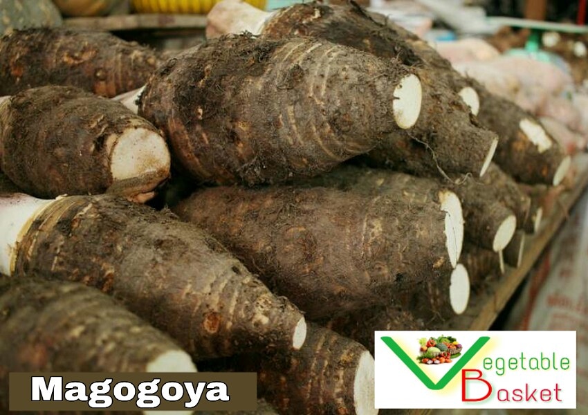 VegetableBasket's tweet photo. We have all your traditional foods in the #Basket #UpfuHweZviyo #UpfuHweMhunga #SweetPotatoes #Yams Magogoya #Fresh Groundnuts #BrownTraditionalRice Nyemba #Mubora Pumpkin Leaves #Mhunga Zviyo #Nyimo #Redmarketsunday @iMisred @redmarketsunday https://t.co/i1PpWdtWQQ
