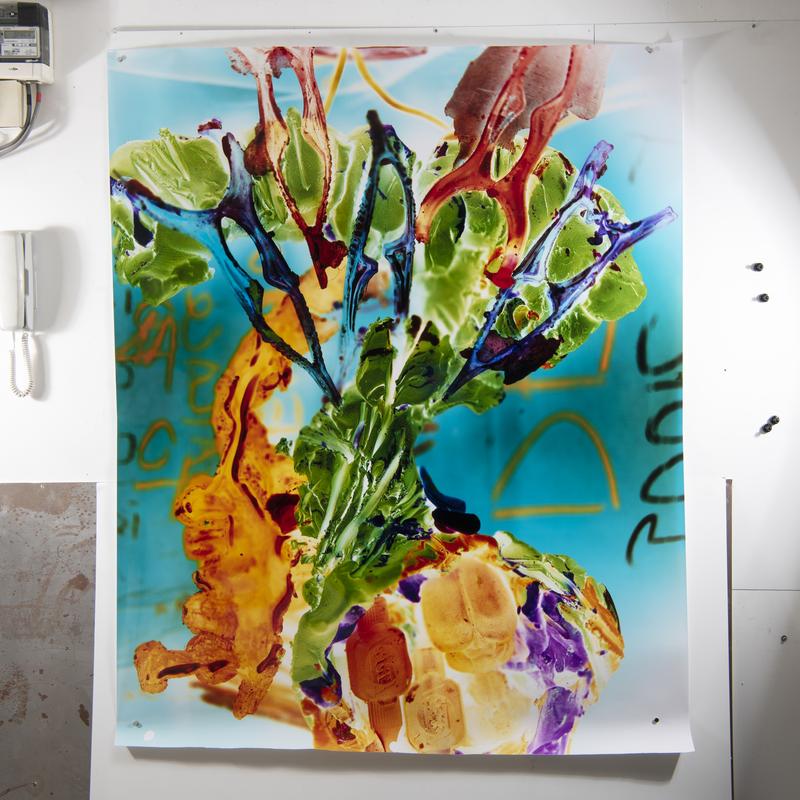 Mess Package (green) no 4 | 1270 x 1524 mm, 50 x 60 in (approx) | Direct from camera obscura, photographic paper image
L
#bigneg #alternativeprocesses #experimentalphotography #ultralargeformatphotography #analoguephotography #homemadecamera #diycamera #cameraobscura