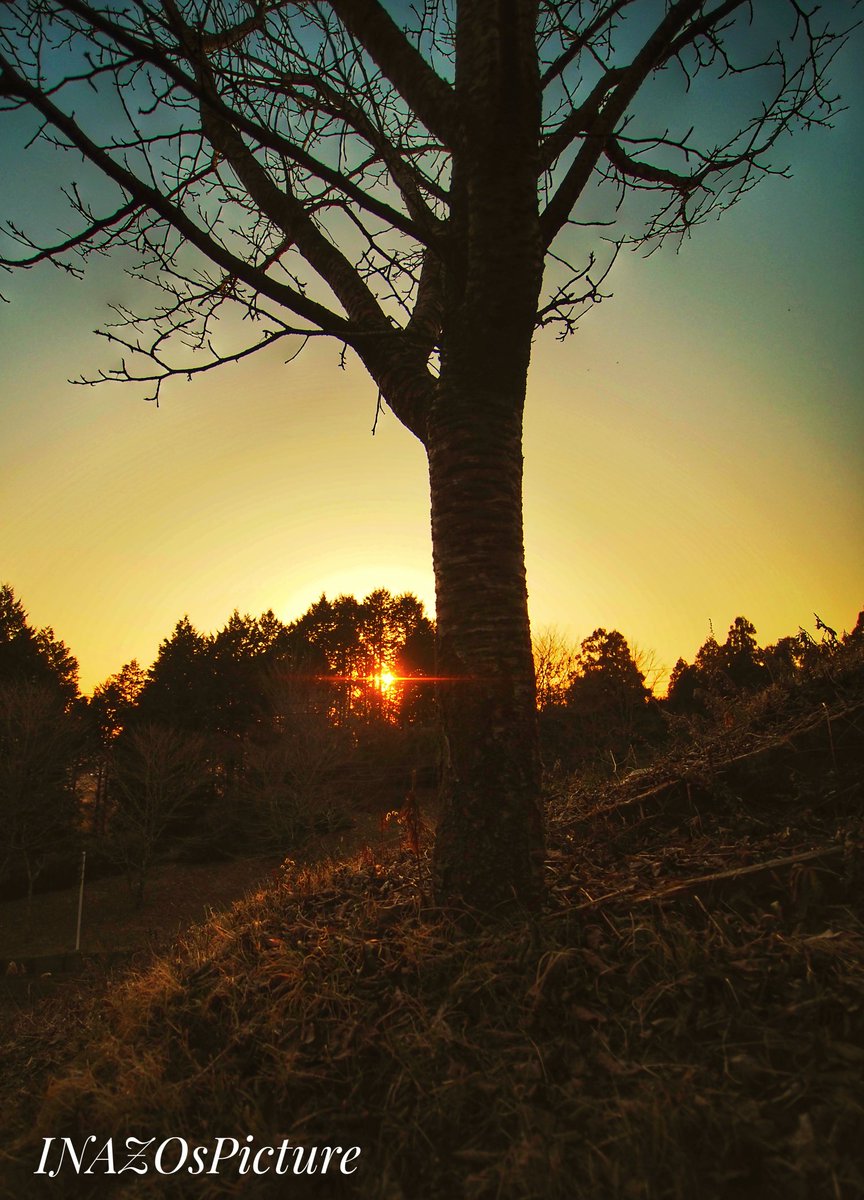 inazo_hardfolk's tweet photo. 今日の夕陽
#風景撮影 #風景写真
#Landscapephotography
#Japaneselandscape
#日本 #Japan #岐阜県 #恵那市 #sunset #japanesesunset #夕焼け #夕陽 #Todayssunset
#KisoRiver #青空 #Bluesky
#空 #sky #FromJapan
#自然 #Nature #Japanesesky
#INAZOsPicture https://t.co/yMjhiKaRlC