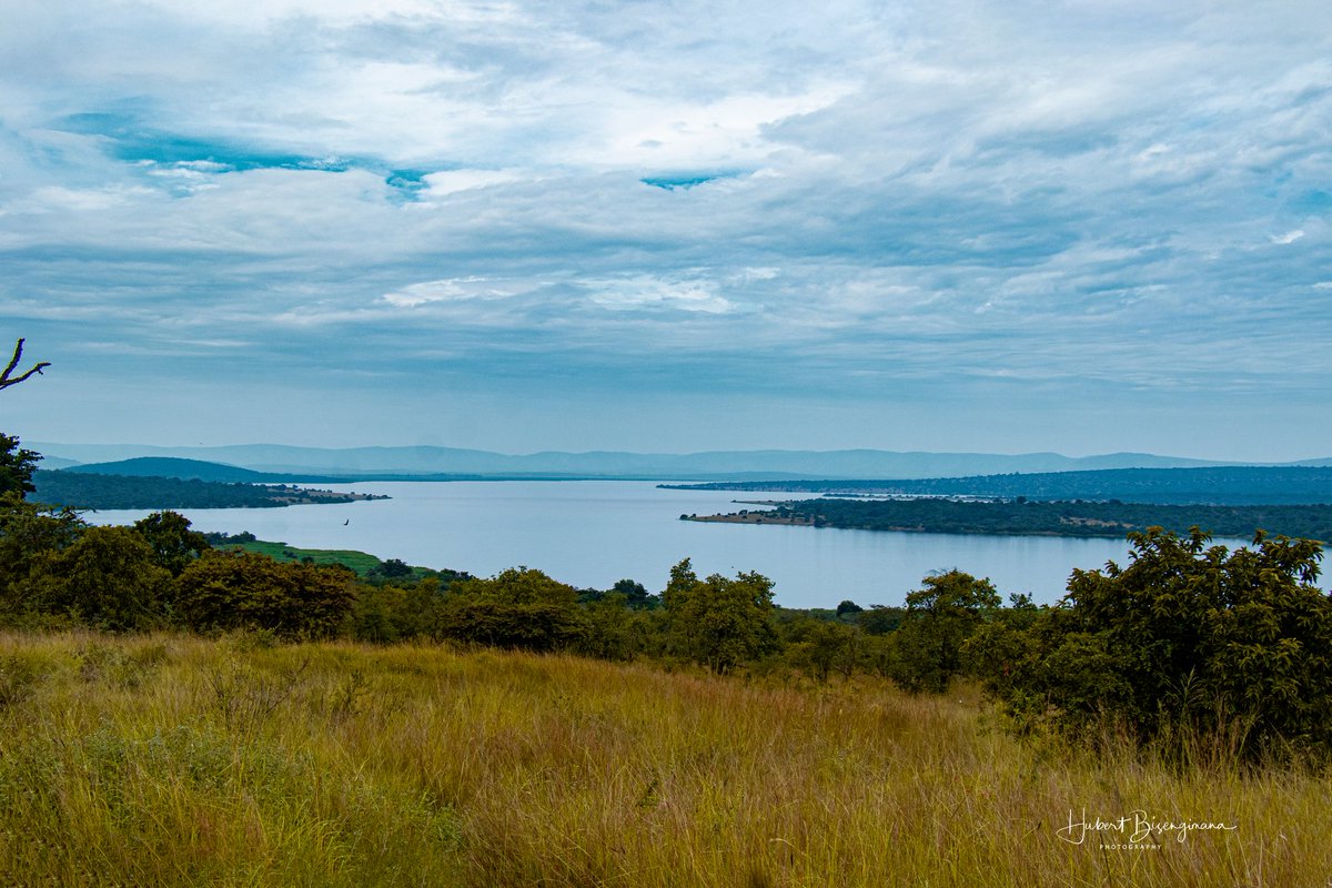 Hubert_rw's tweet photo. Place that spark joy @AkageraPark @visitrwanda_now #travelphotography #travel https://t.co/EyOcPCCDZe