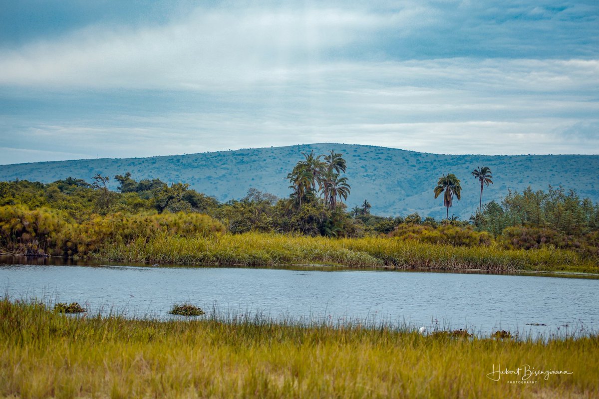 Place that spark joy <a href="/AkageraPark/">Akagera National Park</a> <a href="/visitrwanda_now/">Visit Rwanda</a> #travelphotography #travel