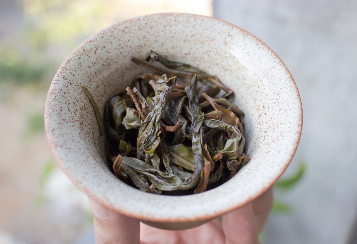 KetleeIN's tweet photo. 2020 Spring Wild Gushu Maocha
One of our favourite wild teas and also the tea which makes our Indian Pu'erh Cakes!
#ketlee #puerh #maocha #cha #chai #indiantea #makeinindia #manipur #northeast #india https://t.co/U5K0pauUCs