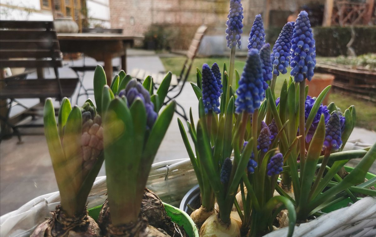 spitz_bernard's tweet photo. #credo #lente #masterOB
Ik geloof in God,
de genadige moeder,
zwanger van geborgenheid en inspiratie,
en in...
de zondag. https://t.co/qewHF8wHpr