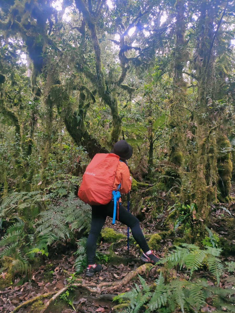 jpaupablo_'s tweet photo. Keep Going!
🇵🇭 5th Highest mountain in the Phillipines🤟

#conquered.#Majorclimb https://t.co/Fb2lJlGkPR