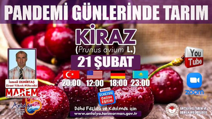 antalyaborsa's tweet photo. #KİRAZ eğitimimizde bugün MAREM'den Ziraat Yüksek Mühendisi İsmail Demirtaş, dünyada kiraz üretimi ve ticareti ile kirazın sistematik beslenmede önemini anlatacak. Davetlisiniz. 

🍒

#GelecekTarımda

🗓21.02.2021
⏰20:00 https://t.co/1Gas3gDBX9