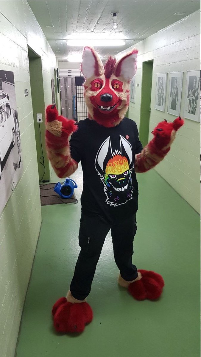 Behold the yeen who is a bean tweet media