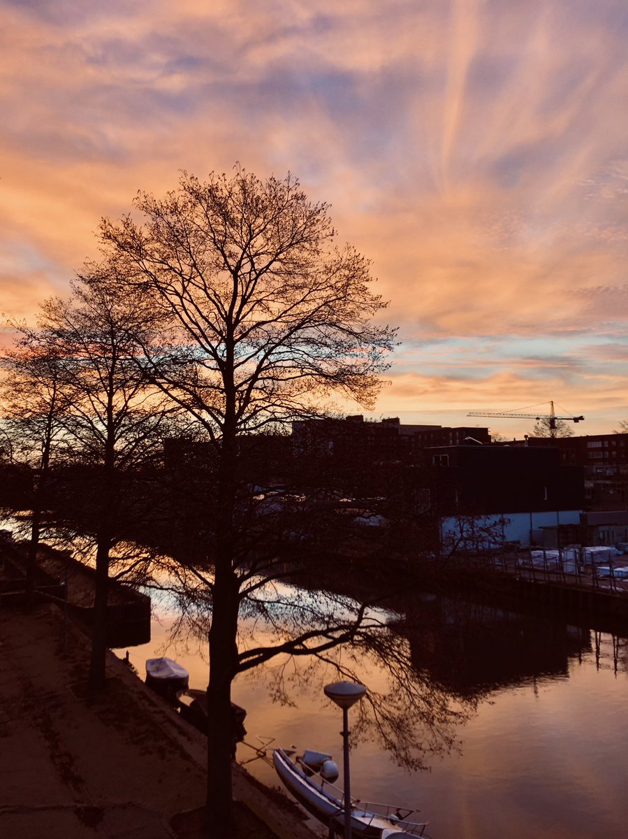 slpzc's tweet photo. Splendid 7am sunrise marked what’s gonna be another warm and sunny day in NL. 🥰 #smellslikespring https://t.co/XMeKAhNIie