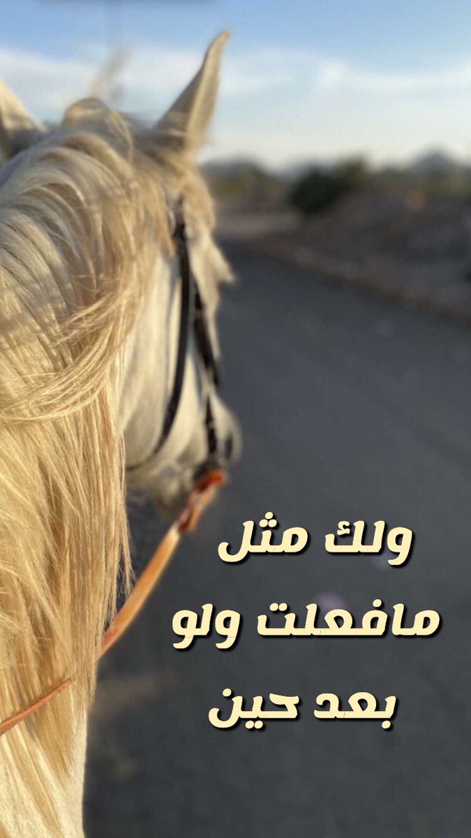 Somayh⚖️ (@semo10122) on Twitter photo 