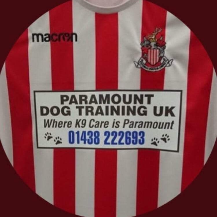 DogParamount's tweet photo. 🏆Looking forward to the mighty Stevenage Boro Giants FC, taking to the field again 🏆 #COYG 
⚽✅Keep the Faith✅⚽
For all your K9 needs look no further than 🐾
Paramount Dog Training UK @DogParamount 
https://t.co/Ts6VveaytE
✅Where K9 care is always Paramount ✅ https://t.co/9dri6MGP4d