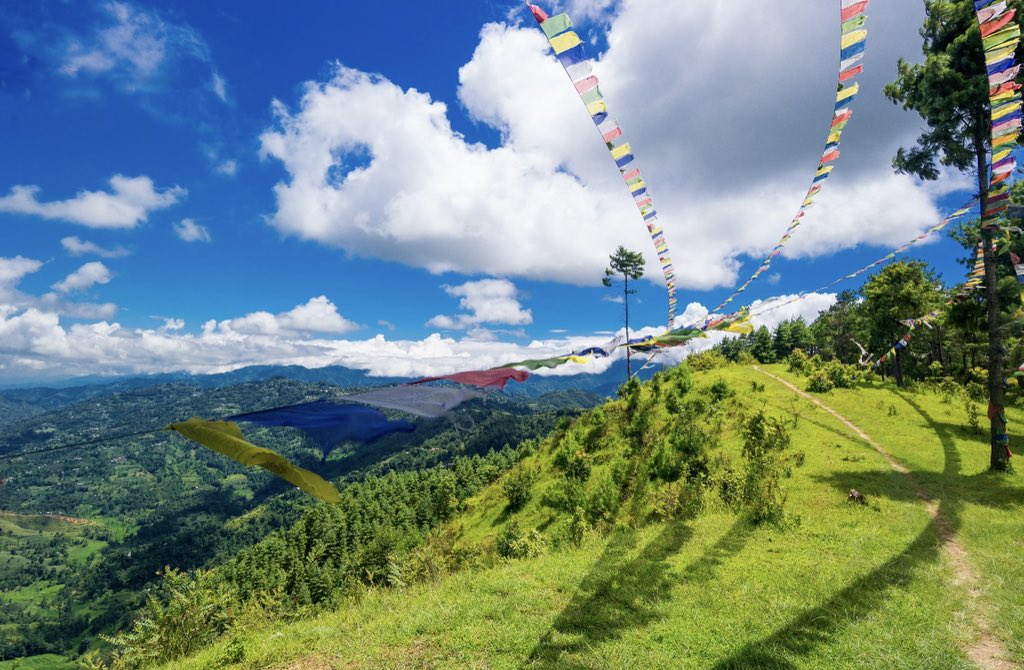 Andrew Aziz tweet media